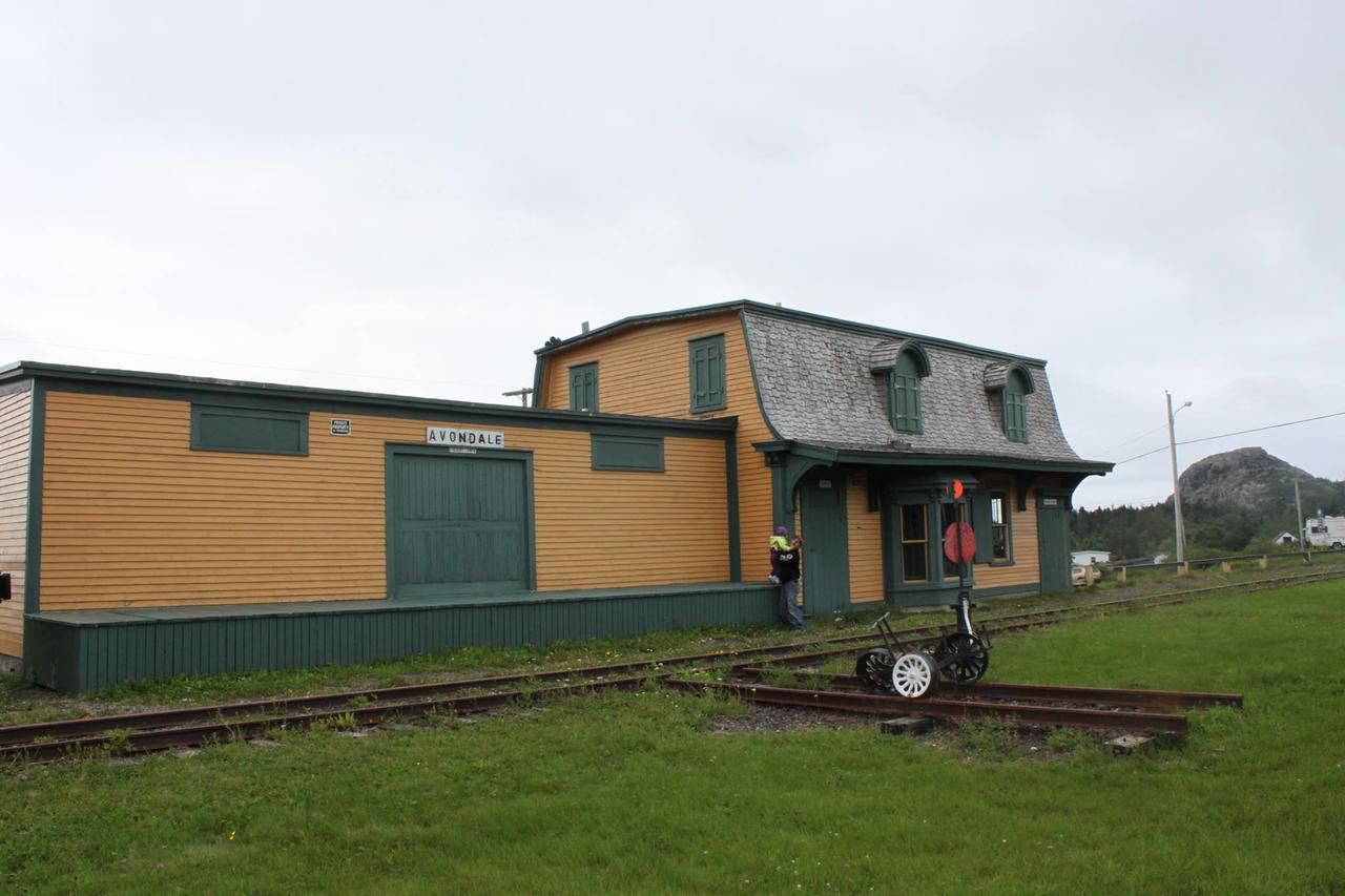 Gloria'S Bnb Avondale Bagian luar foto